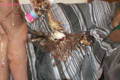 dani_splosh_box_047